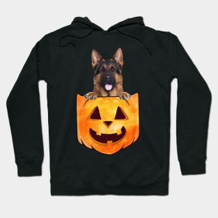 Long Haired German Shepherd In Pumpkin Pocket Halloween Hoodie